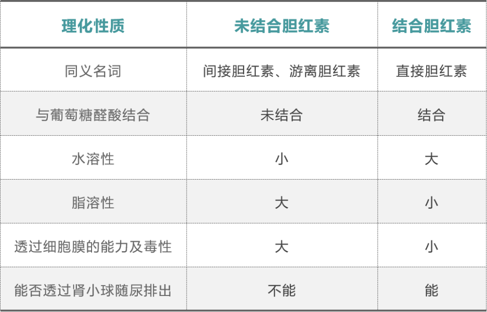 胆红素代谢漫画图解联想记忆一遍过