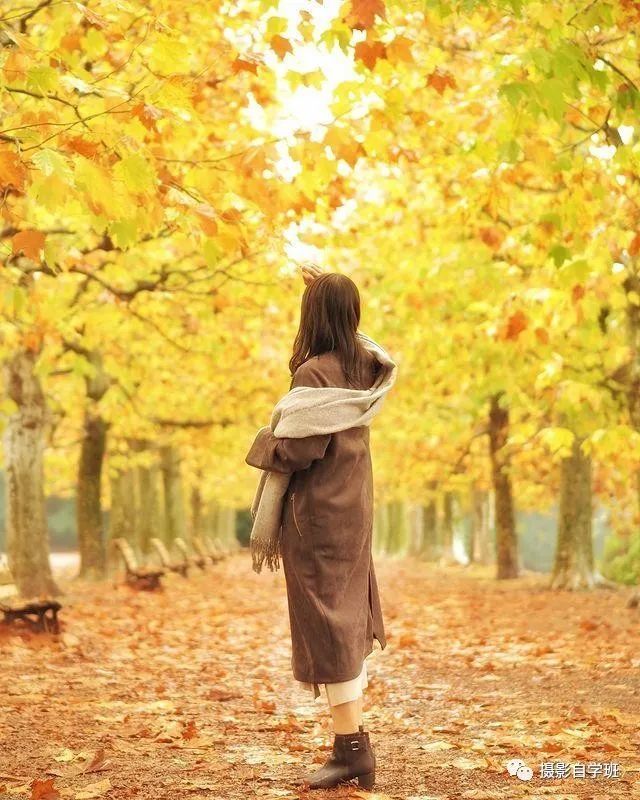 一,人和秋天的合影怎么拍好看?