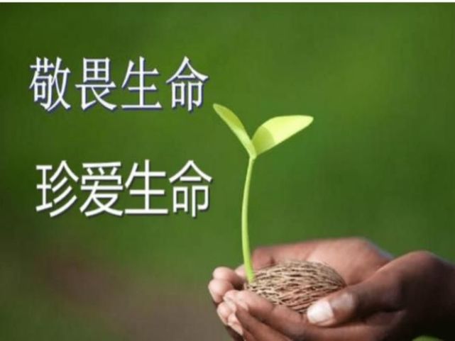 是生命的唯一袋子