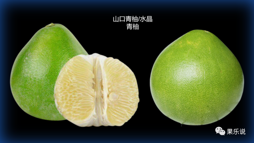 常见柚子类 15 青柚 腾讯新闻