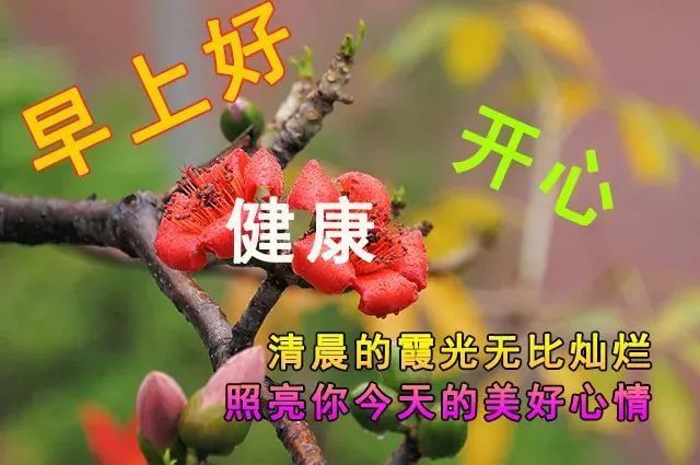 超漂亮的早上好動態圖片大全 早上好動態圖2022