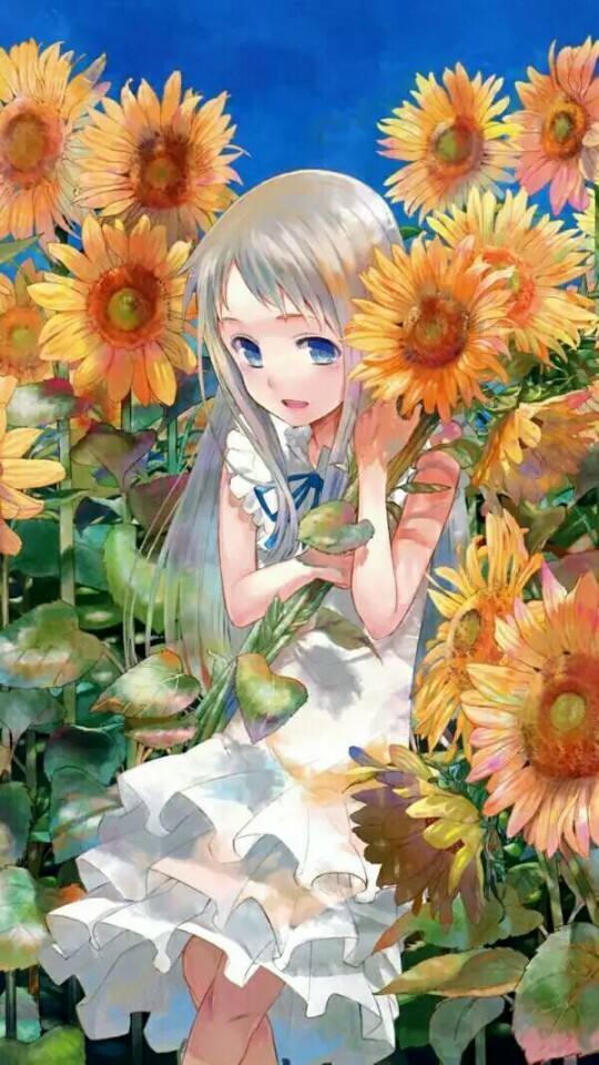 未闻花名手机壁纸