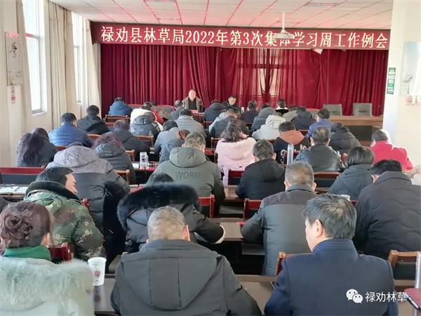 禄劝县林草局组织召开2022年第3次集体学习周工作例会_腾讯新闻