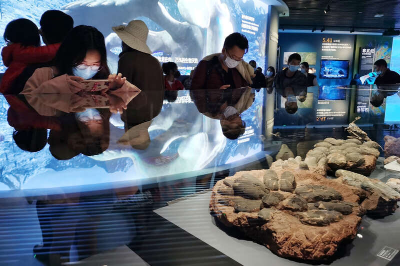 澄江古生物博物馆图片