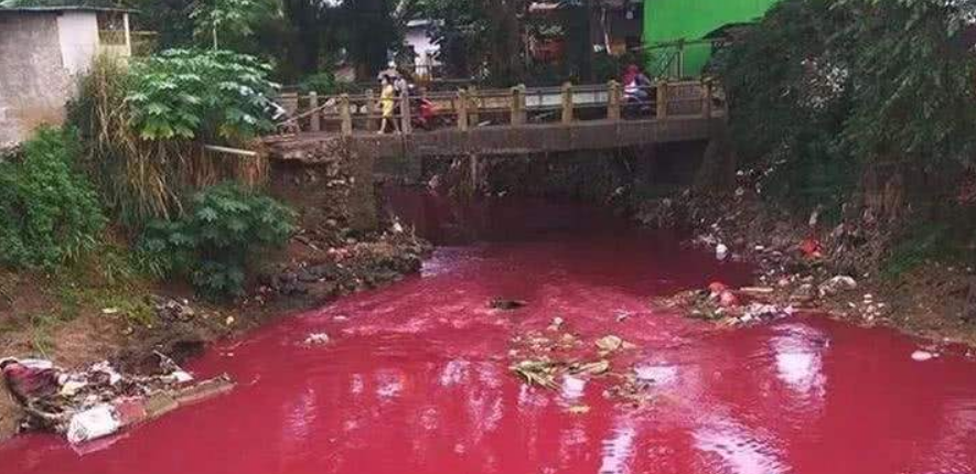 印度连降两月"血雨",雨水中检测出外星生物?这是灾难前兆?_腾讯新闻