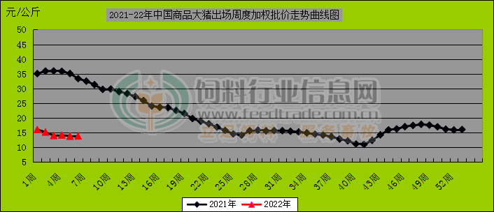 原料漲飼料漲豬肉股漲停豬價跌至5元區2022年生豬業魔幻開局