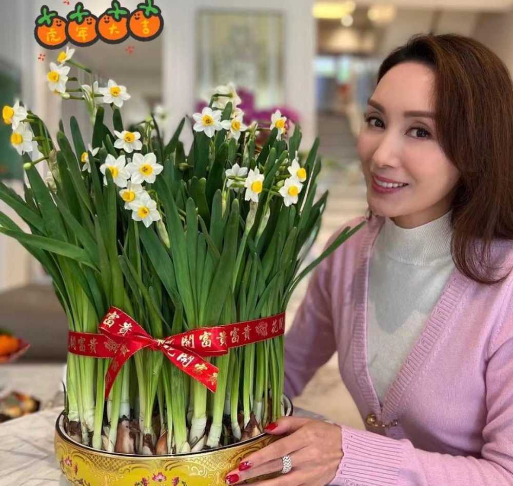 音乐八年级上册义务教育教科书粉色初春胖毛衣佳节输不起吃