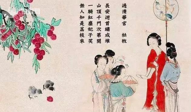 一骑红尘妃子笑无人知是荔枝来漫谈我国古代快递行业的发展