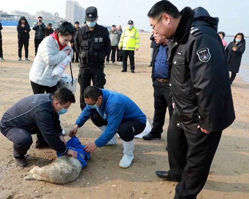 一體化壓鑄火了，然后呢？大叔是餓狼全文免費觀看