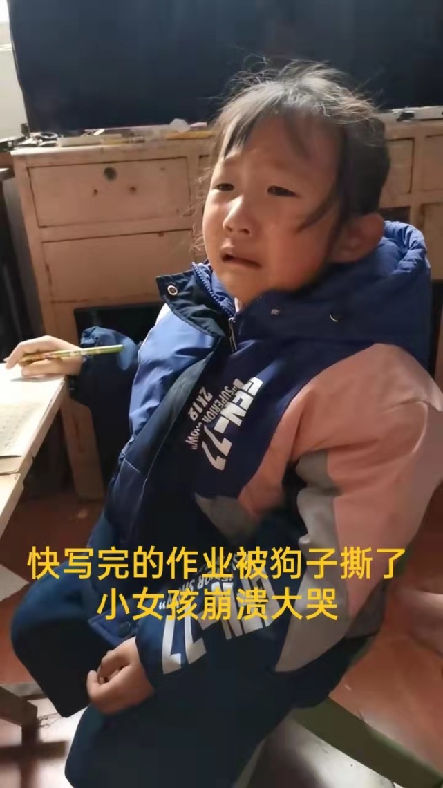 作業被小狗撕了小學生崩潰大哭媽媽告訴老師老師的做法亮了