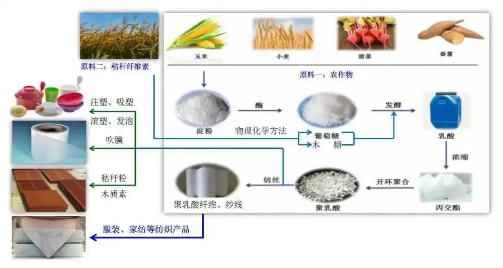 聚乳酸(poly lactic acid,簡稱 pla)是一種生物基可降解材料,是以玉米