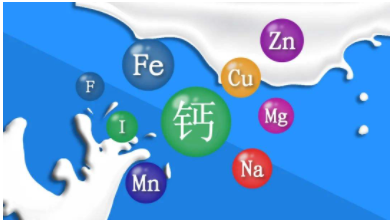 人体矿物质之一钙