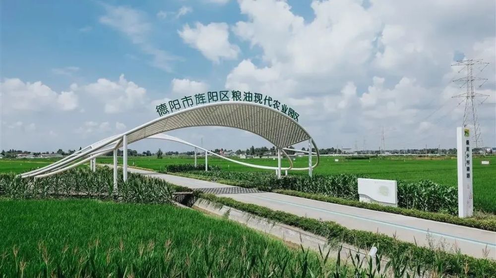 旌阳喜获2021年度德阳市乡村振兴先进区