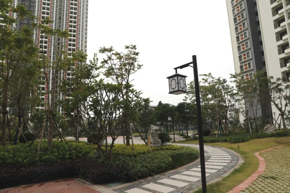 石丰路保障性住房建筑产业化项目(标段二)实景图