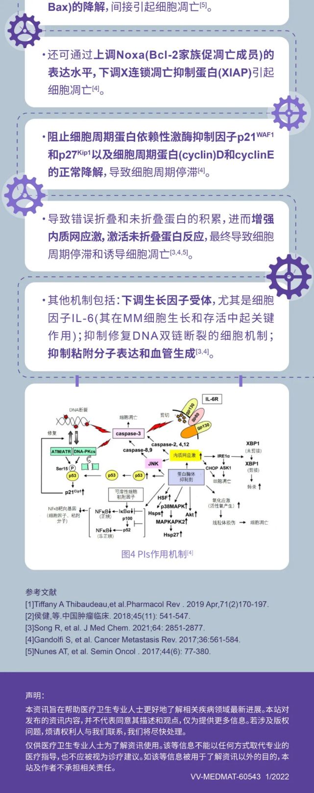 一圖讀懂蛋白酶體抑制劑是如何作用於多發性骨髓瘤的