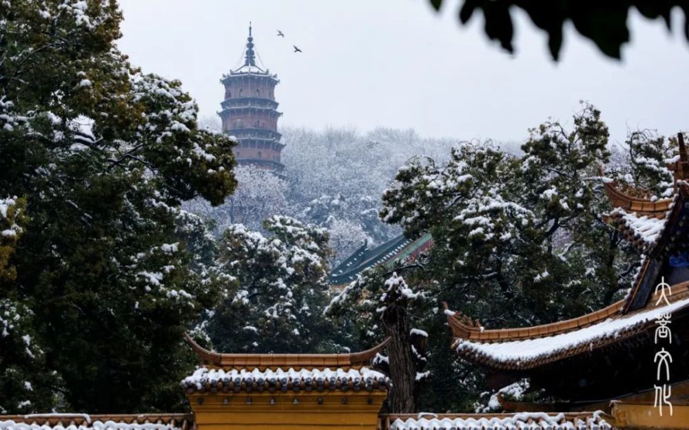 ポイント5倍 中国？ 寺院の床の間にあった香炉 詳細不明の書簡付き