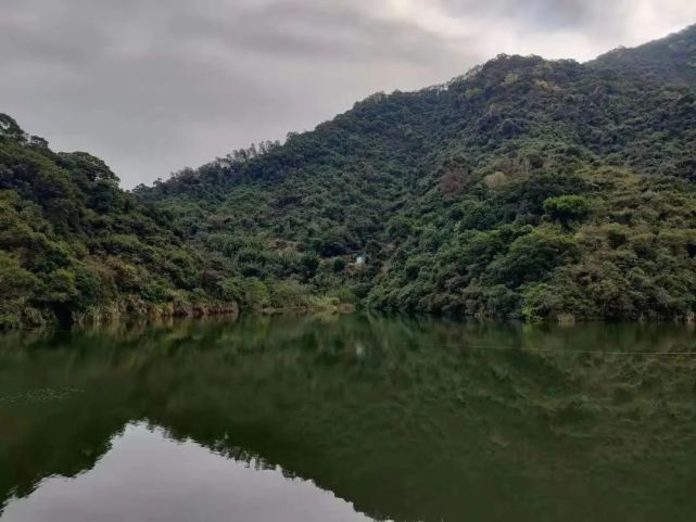 只見幽靜碧綠的水面上時不時激盪起一層層波紋,不斷往外擴散,使得倒影