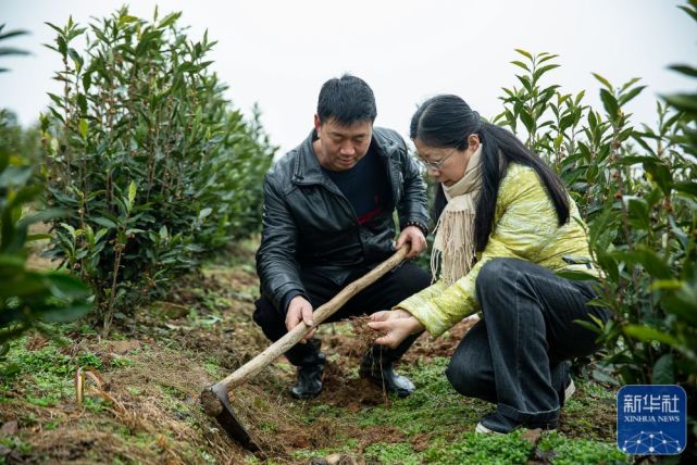 2月11日,雲南省紅河哈尼族彝族自治州開遠市羊街鄉永家村,村民黃玉花