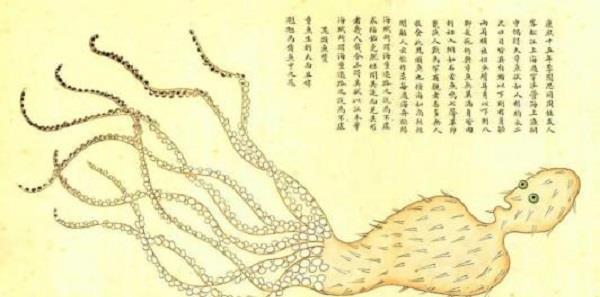 康熙年间的一部奇书，清朝皇帝都很爱，三卷在北京，一卷在台北有的人ppt课件
