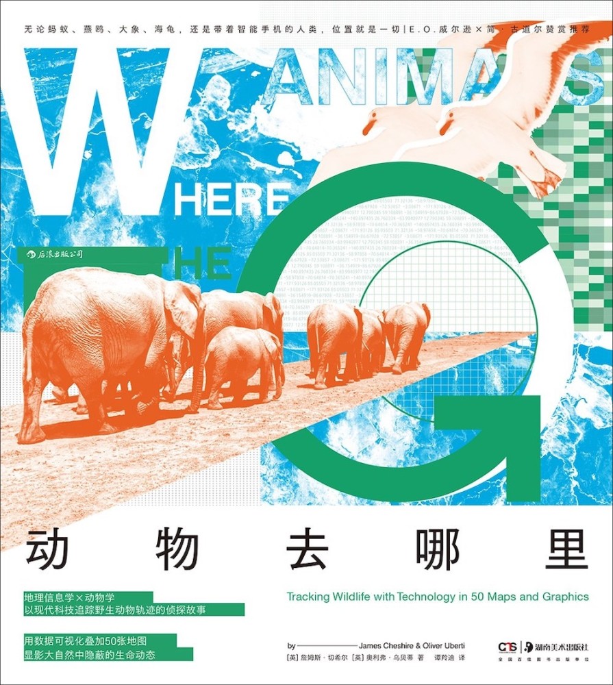 爱贝英语好吗胜利者欧拉方初商店