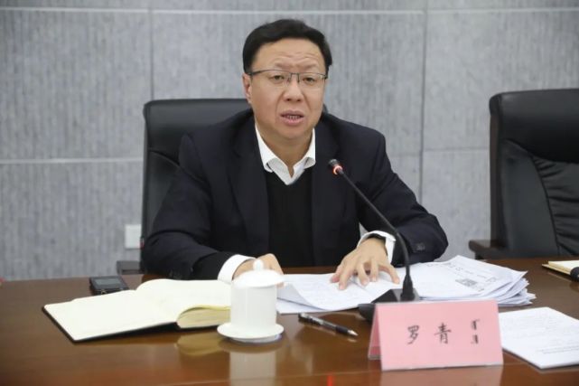 罗青参加政协锡林郭勒盟第十四届委员会第一次会议联组讨论