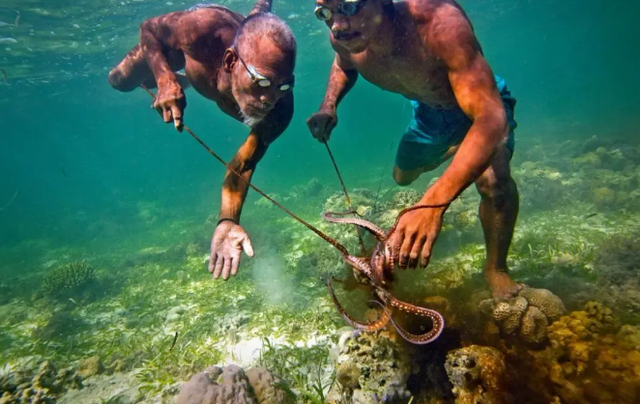 巴瑶人|海洋|潜水