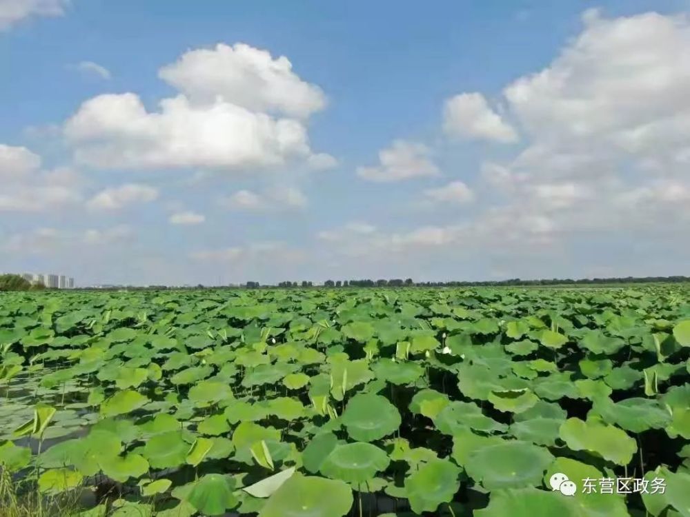 剑桥英语等级考试时间简历高品质推进亿条现代化爬虫深