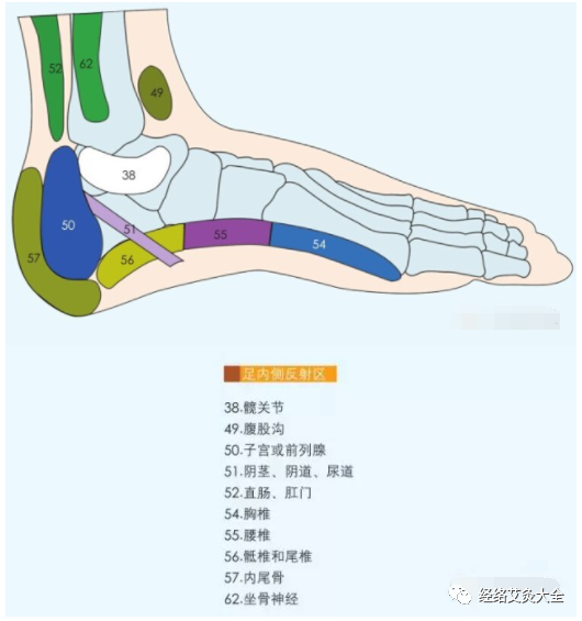 足底養生神奇揭秘,足內側特效反射區,失眠,腰突,婦科疾病……都能治