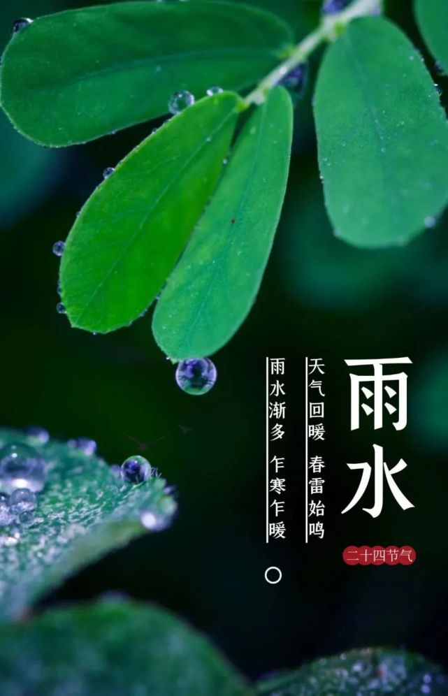 2022年雨水节气暖心问候祝福语,雨水节气动态表情图片