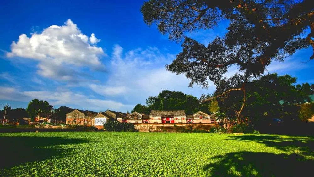 河源这几个美丽乡村值得一去