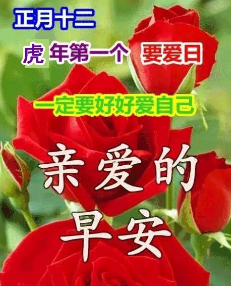 正月十二喜庆吉祥的祝福语动态表情图片2022最有福气的早安问候拜年