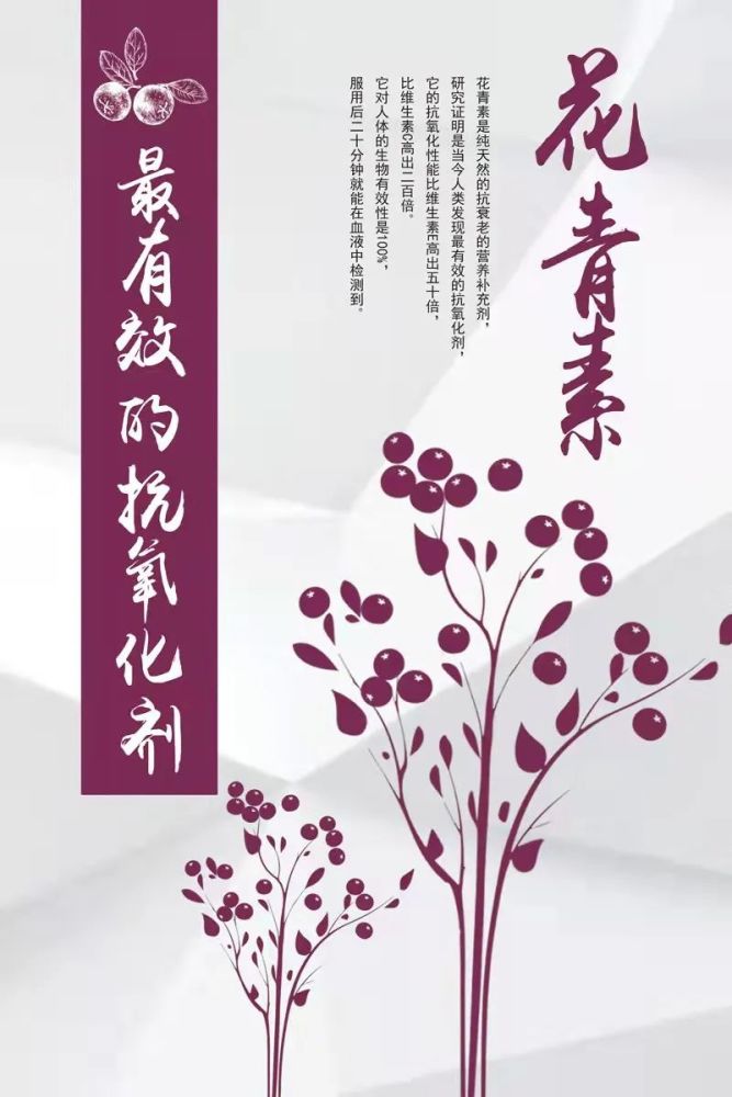 健康专栏人人夸赞的不老莓酵素究竟好在哪儿