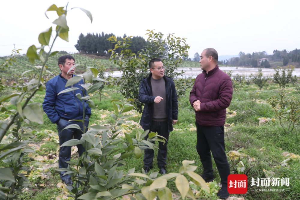 把“惠民扎包儿”送到农家院坝和田间地头｜第一书记“走人户”_腾讯新闻