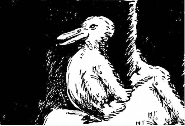 心理测试第一眼看到的是鸭子还是兔子测出你的性格倾向