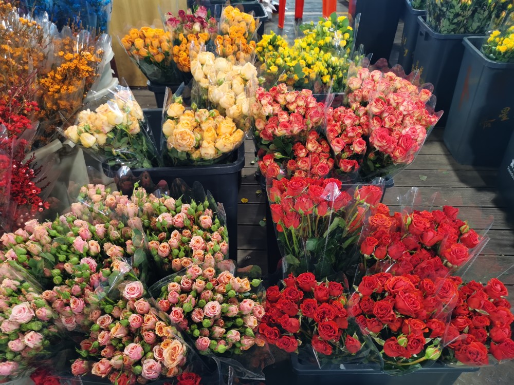 今年情人节还买花吗？价格涨一倍，99朵玫瑰突破千元英语培训线下机构