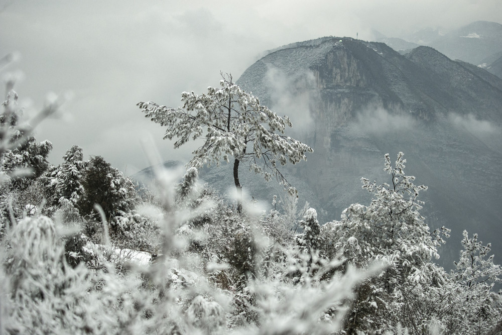 长江三峡迎春雪 壮丽雪景别有韵味