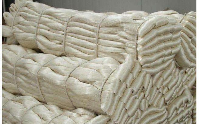 清朝首富胡雪岩临终前曾留下勿近白虎的遗训这是什么意思