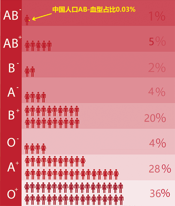血型占比图片