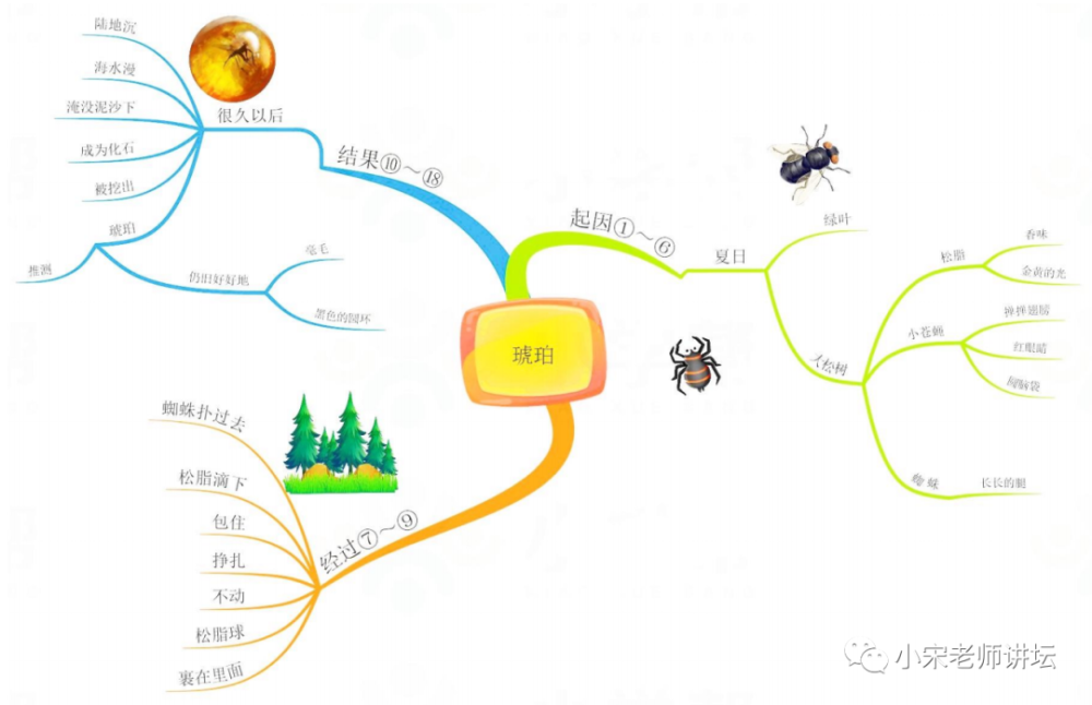 课文5《琥珀》四下:第二单元课文4《三月桃花水》课文3《天窗》课文2