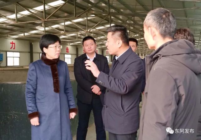 祁学兰一行到大桥镇绣青水产养殖专业合作社,详细了解了"东阿黄河鲤鱼