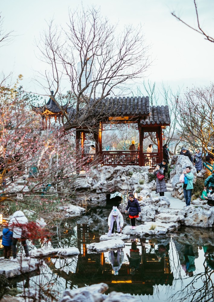 上海新晋0元网红公园,天天显示预约已满,元宵夜场更是人满为患_腾讯