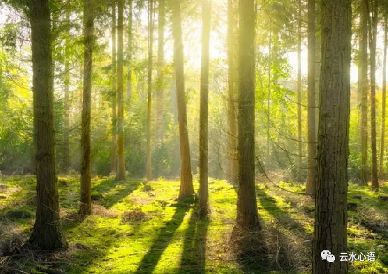 宋代诗僧的一首名作 技法高妙 美不胜收 让人赞不绝口 腾讯新闻