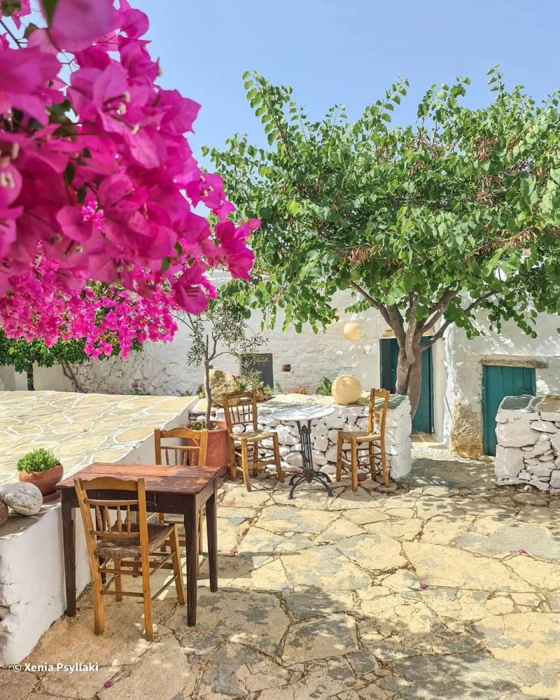 阳光小院,惬意闲适_腾讯新闻