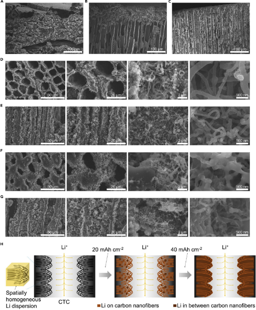 李祥龙智林杰matter分级碳实现40mahcm612锂金属负极的出色长期循环