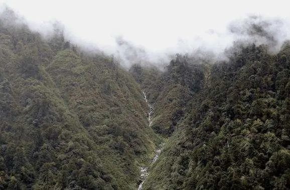 令人恐惧的野人山:三万人进去三千人出来,为了生存连尿都要喝