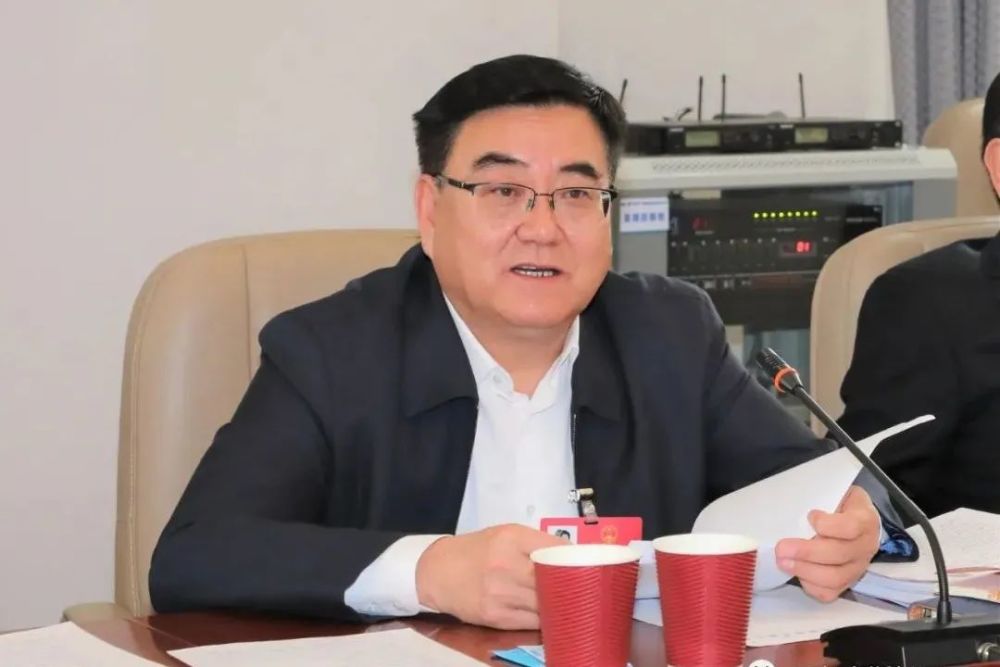 张占林参加东胜区代表团审议