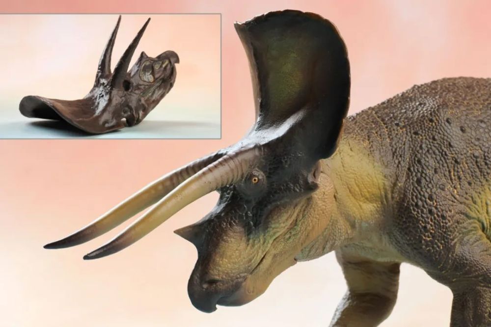 一入龙门深似海从此银子是路人pnso剑龙三角龙鲨齿龙