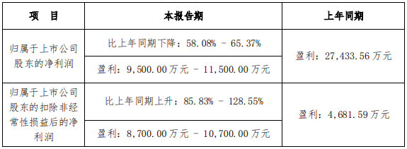图片来源:上海新阳2021年度业绩预告公告对于本次归属于上市公司股东