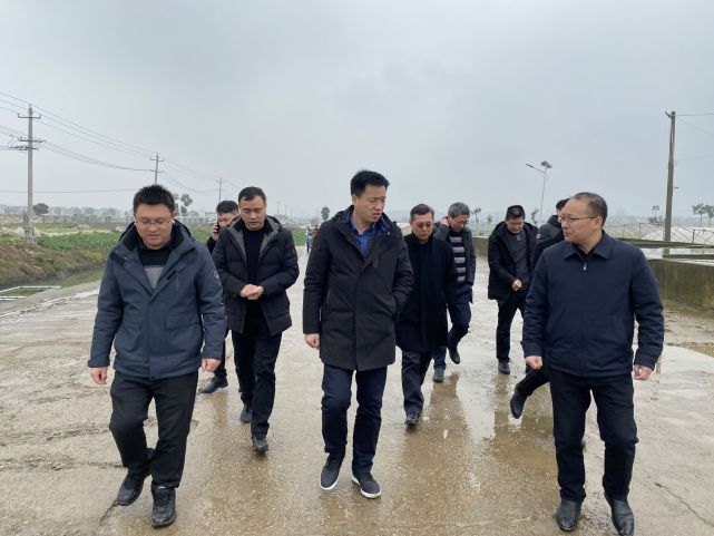 阳新新闻:万鼎周末跑工地 调研企业运行,春耕备耕,粮食安全等工作