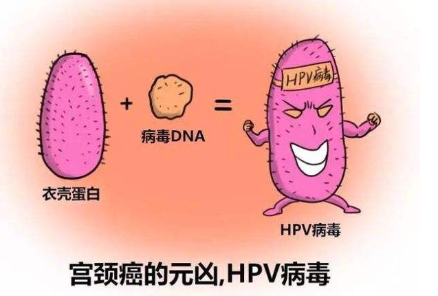 女性hpv会痒吗图片